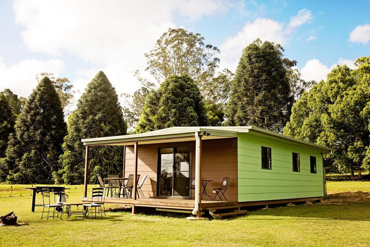 Pinbarren Green Lodges Noosa المظهر الخارجي الصورة